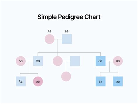 Pedigree chart of Jacobus Johannes Haring Christina Maria Anna 